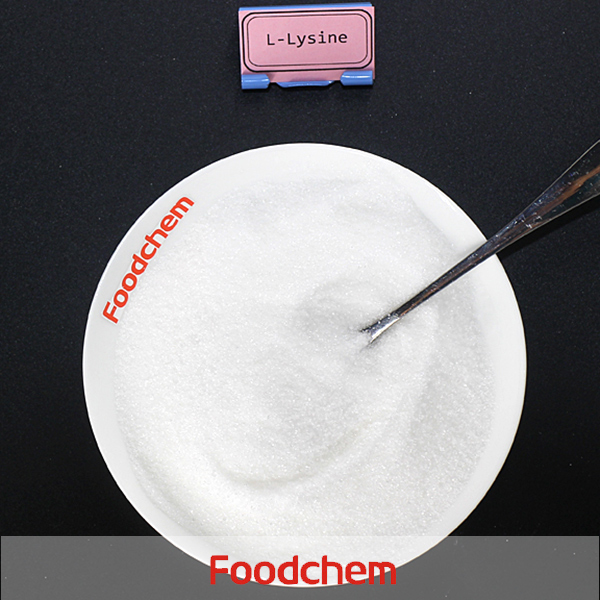 L-Lysine suppliers